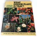 Billede af bogen What indoor plant is that?