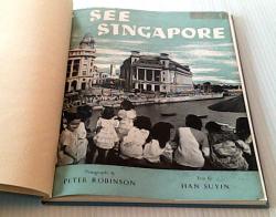 Billede af bogen See Singapore