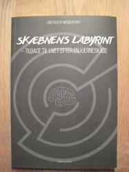 Billede af bogen Skæbnens labyrint - tilbage til livet efter en hjerneskade
