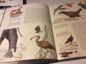 Billede af bogen Fuglenes verden
