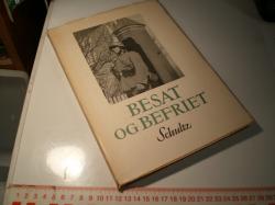 Billede af bogen Besat og befriet