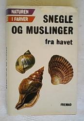 Billede af bogen Snegle og muslinger fra havet