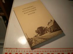 Billede af bogen Snejbjerg, Studsgaard, Haunstrup sogne