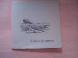 Billede af bogen Kalø vig egnen