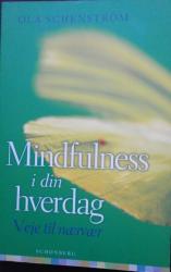 Billede af bogen Mindfulness i din hverdag