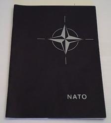 Billede af bogen NATOs fremtid og dansk sikkerhedspolitik
