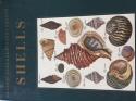 Billede af bogen Shells. Classic Natural History Prints.