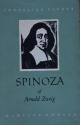 Billede af bogen Udødelige tanker  - Spinoza