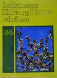 Billede af bogen Lademanns Have- og Planteleksikon nr. 36