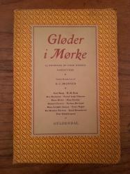 Billede af bogen Gløder i Mørke - 13 noveller af unge danske forfattere 