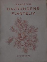 Billede af bogen  Havbundens planteliv 