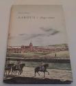 Billede af bogen Aarhus i 1840-erne