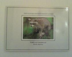 Billede af bogen Familiar Mammals - North America