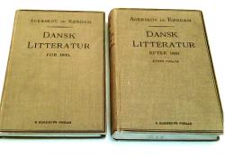 Billede af bogen Dansk Litteratur før 1800 + Dansk Litteratur efter 1800