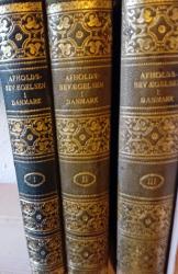 Billede af bogen Afholdsbevægelsen i Danmark 1-3