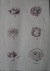 Billede af bogen Historiske roser fra Løve