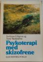 Billede af bogen Psykoterapi med skizofrene 
