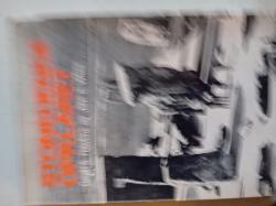 Billede af bogen Stonehenge opklaret Billede af bogen Stonehenge opklaret