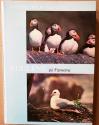 Billede af bogen Fuglene på Færøerne