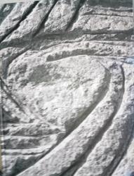 Billede af bogen  Spor  Traces.