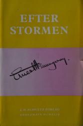 Billede af bogen Efter stormen - noveller