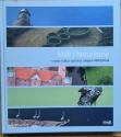Billede af bogen Midt i historierne, natur, kultur og kunst i Region Midtjylland