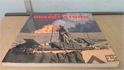 Billede af bogen In the eye of desert storm 