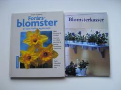 Billede af bogen Forårsblomster til have, balkon og terasse + Blomsterkasser