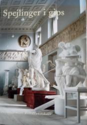 Billede af bogen Spejlinger i gips