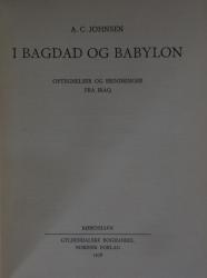 Billede af bogen I Bagdad og Babylon - Optegnelser og erindringer fra Iraq
