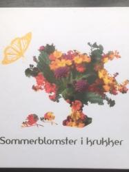 Billede af bogen Sommerblomster i krukker