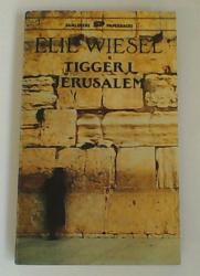 Billede af bogen Tigger i Jerusalem