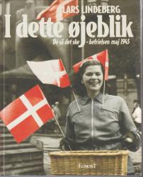 Billede af bogen I dette øjeblik. De så det ske – befrielsen maj 1945