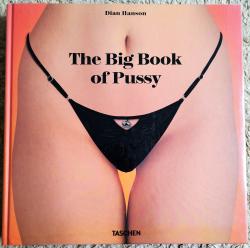 Billede af bogen The big book of Pussy