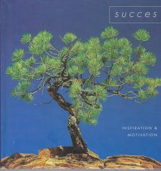 Billede af bogen Succes - Inspiration og motivation