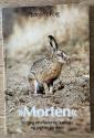 Billede af bogen Morten - En bog om harer og kaniner og jagten på dem