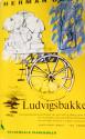 Billede af bogen   Ludvigsbakke
