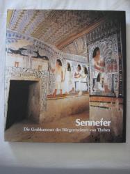 Billede af bogen Sennefer - Die Grabkammer des Bürgermeisters von Theben