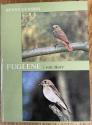 Billede af bogen Fuglene i vore skove
