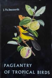 Billede af bogen Pageantry of Tropical Birds