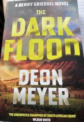 Billede af bogen The dark Flood