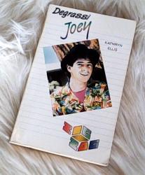 Billede af bogen Degrassi 2 - Joey