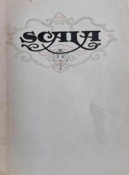 Billede af bogen Det nye scala-teater sæsonen 1917-18