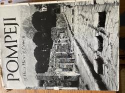 Billede af bogen Pompeji - breve fra byen som ikke ville dø