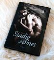 Billede af bogen Stadig savnet