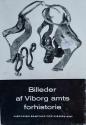 Billede af bogen Billeder af Viborg amts forhistorie