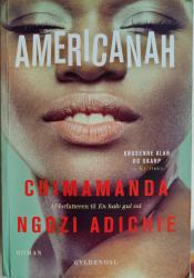 Billede af bogen Americanah