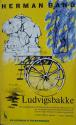 Billede af bogen Ludvigsbakke