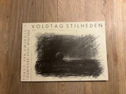 Billede af bogen Voldtag stilhed