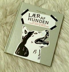 Billede af bogen Lær af hunden og andre småsyrede indfald, udfald og udfordringer